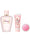 Set - Brume, crème main et fard à paupières collection Sakura