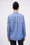 Image to render