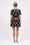 Image to render