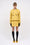 Image to render