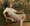 files/HP-MAILLE-FW26.png