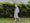 Image to render