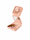 Image to render