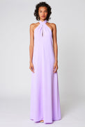 Long fitted dress with bare back and tied scarf collar